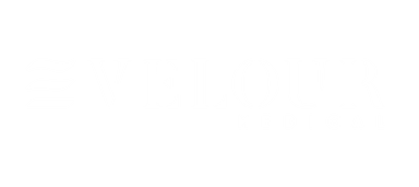 Velour Medical logo